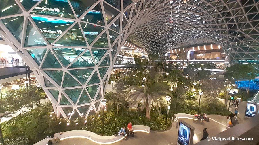 Jardín interior en el aeropuerto internacional Hamad (Doha, Catar), elegido como el segundo mejor aeropuerto del mundo según Skytrax Jardín interior en el aeropuerto internacional Hamad (Doha, Catar), elegido como el segundo mejor aeropuerto del mundo según Skytrax