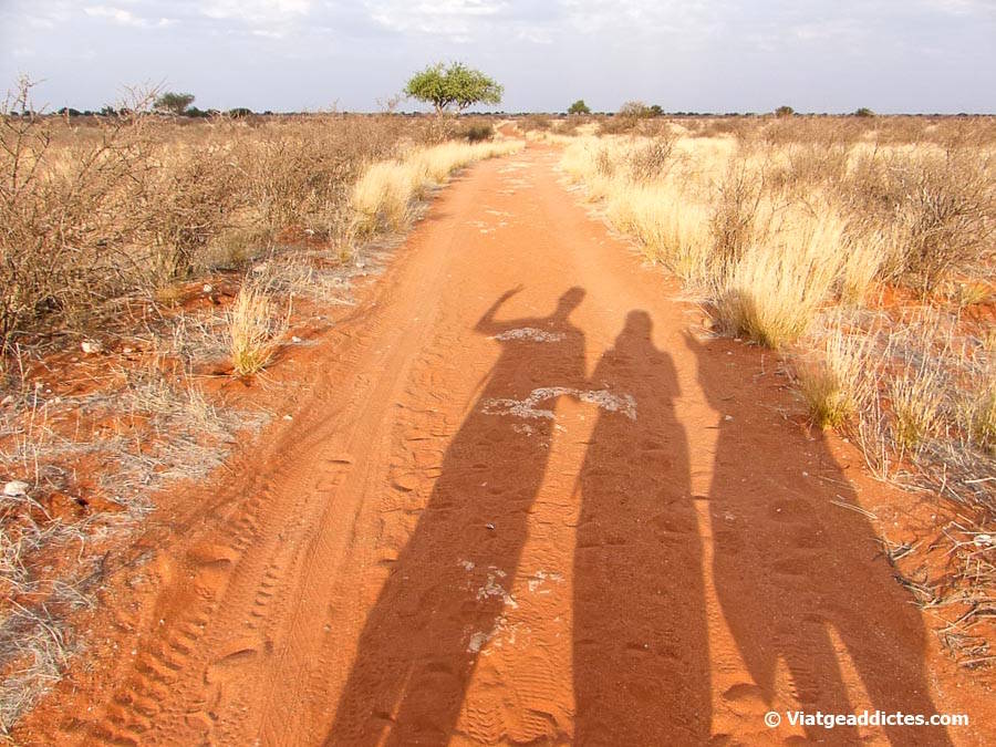 Des del 2001 compartint el món a través dels nostres viatges (aquí, en el desert del Kalahari, Namíbia) Des del 2001 compartint el món a través dels nostres viatges (aquí, en el desert del Kalahari, Namíbia)